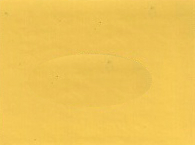 2003 GM Light Yellow